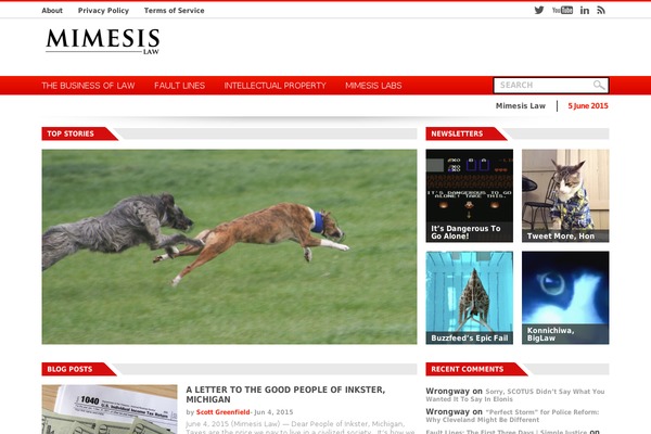 Observer theme site design template sample
