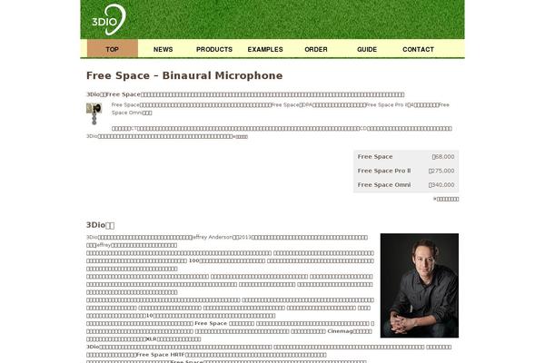 3dio theme websites examples