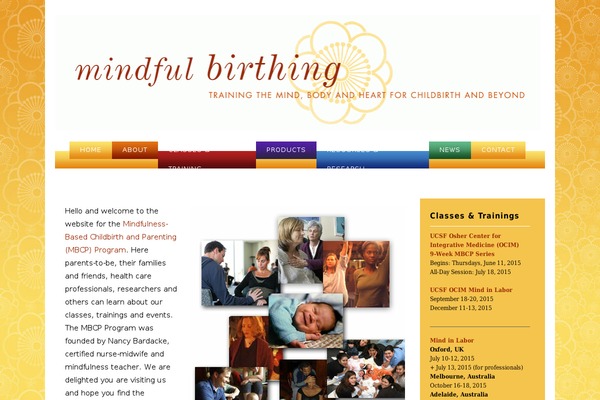 Twentytenchild theme site design template sample