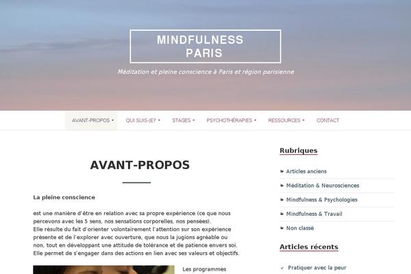 Toivo Lite theme site design template sample