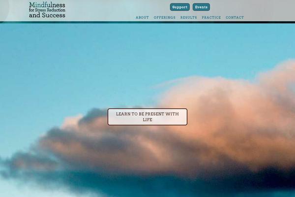 Parallax Pro theme site design template sample