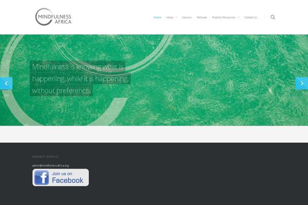 Salient theme site design template sample