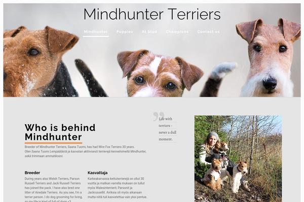 BeTheme Child theme site design template sample