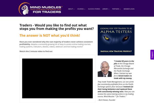 Rise theme site design template sample