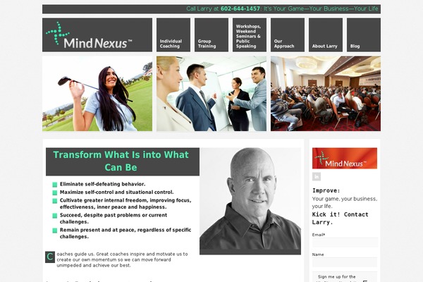 Nexus theme site design template sample
