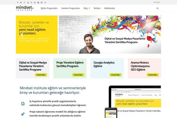 Mindset theme websites examples