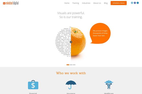 mindsetdigital.com site used Mindset