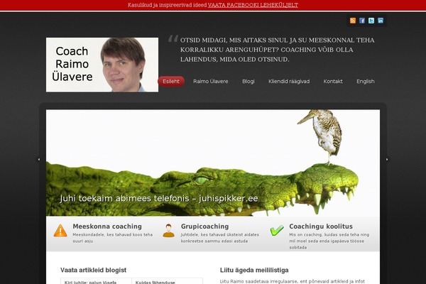 Site using Flying-pages plugin