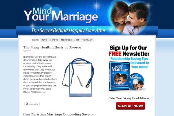 Thesis 1.8.5 theme site design template sample