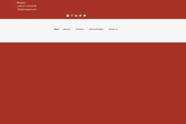 Site using Wp-yandex-metrika plugin
