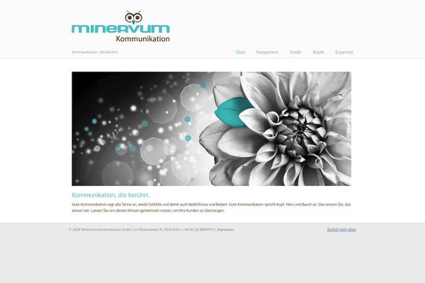 Site using Cyclone Slider 2 plugin
