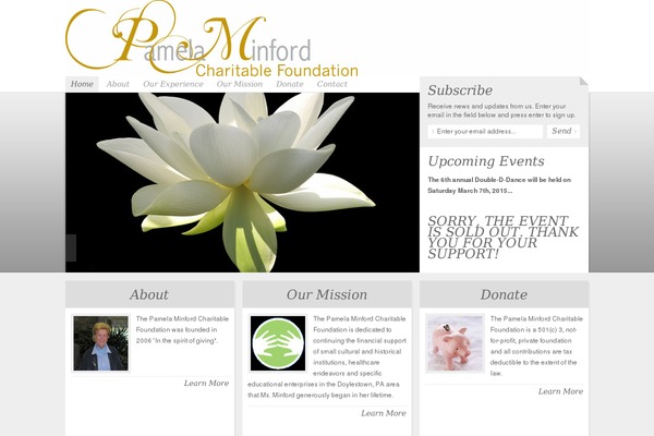 NonProfit theme site design template sample