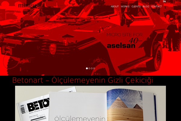 Site using Ceceppa Multilingua plugin