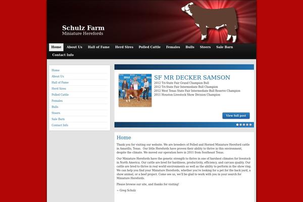 Site using Global Flash Gallery plugin