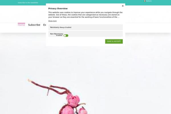 Site using Simply-schedule-appointments plugin