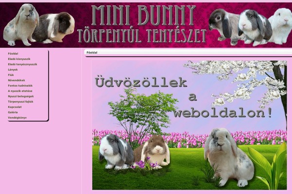 minibunny-torpenyul.hu site used Ixoragreen