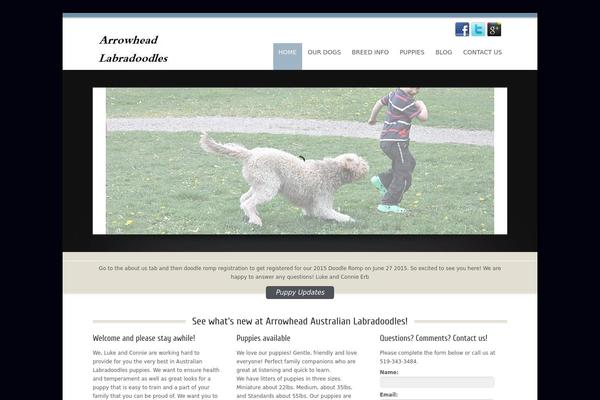 minilabradoodle.biz site used Innovative-pro