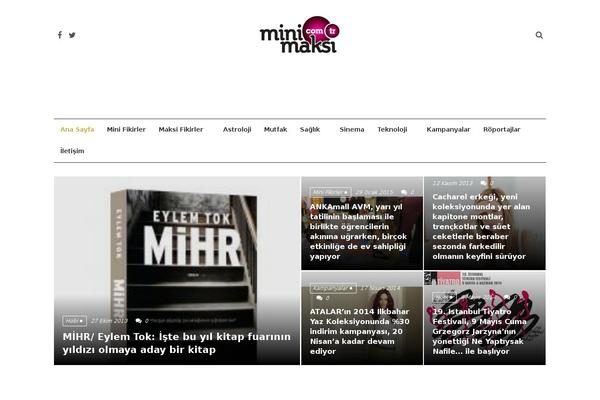 Site using Blue Wrench Video Widget plugin
