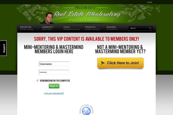 Stereoline theme site design template sample