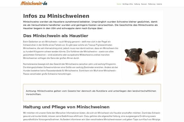 Site using WP YouTube Lyte plugin