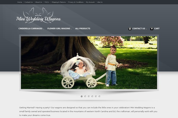 Site using Easy E-commerce Reviews Lite plugin