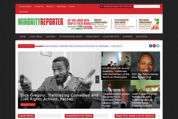 minorityreporter.net site used SaladMag