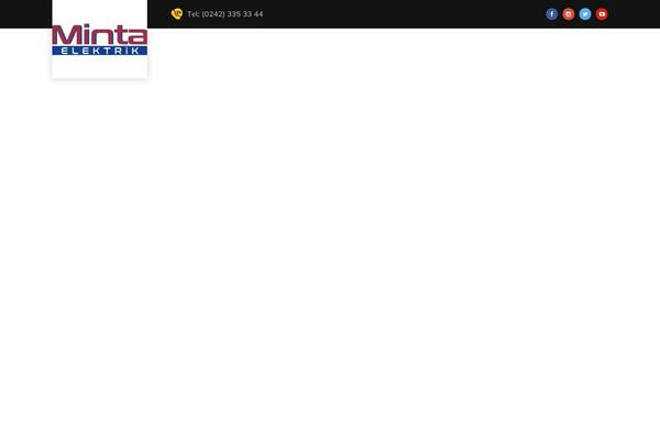 mintaelektrik.com site used Praha
