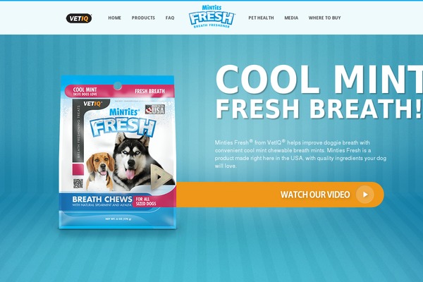 vetiq theme websites examples