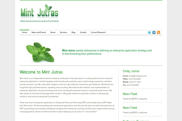 MiniBuzz theme site design template sample