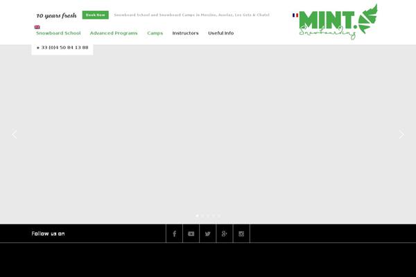 mintsnowboarding.com site used Mintsnowboarding