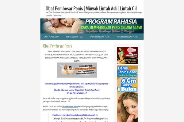 Slimmy theme site design template sample