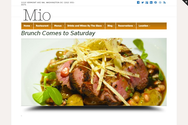 Opus Blog theme site design template sample