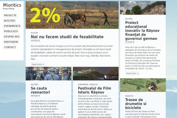 Carton theme site design template sample