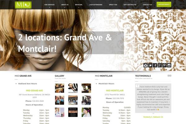 HairPress theme site design template sample