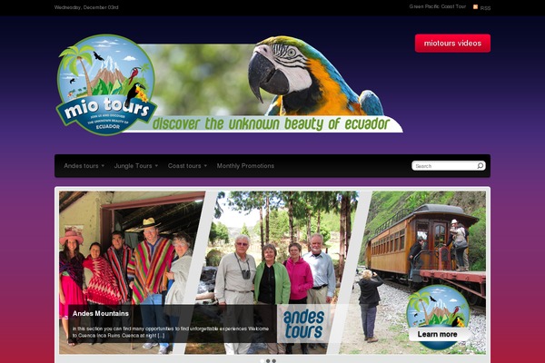 Site using YouTube Advanced Embed plugin