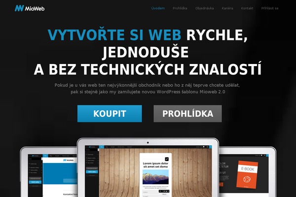 Mioweb3 theme site design template sample