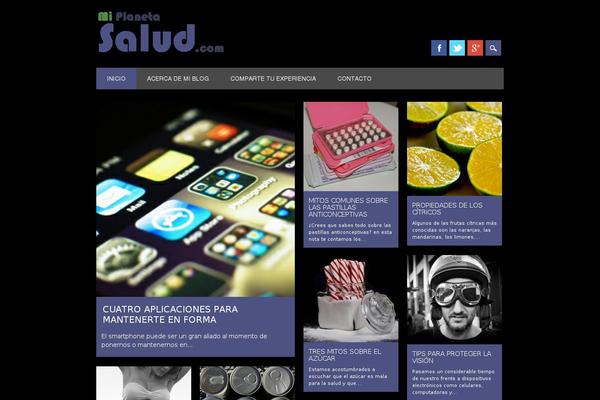 Surfarama theme site design template sample