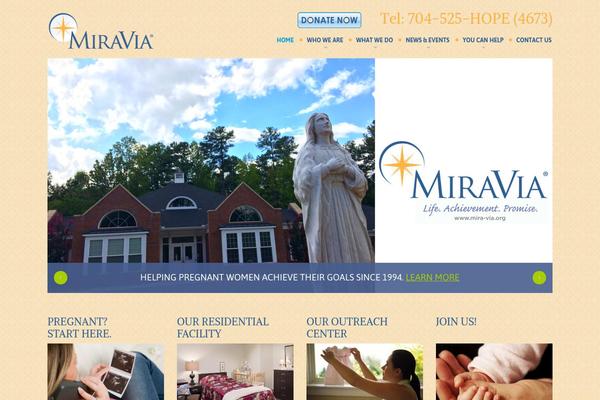 theme45164 theme websites examples