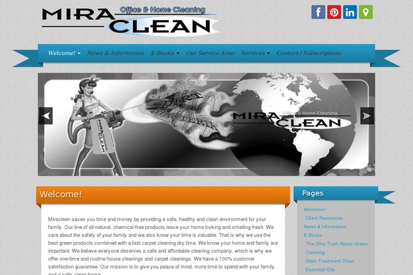 Iribbon Pro 2 theme site design template sample