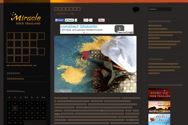 Sunspot theme site design template sample