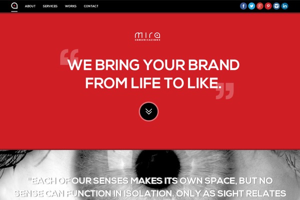 Wptheme theme site design template sample