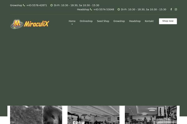 Site using Spotlight-social-photo-feeds plugin