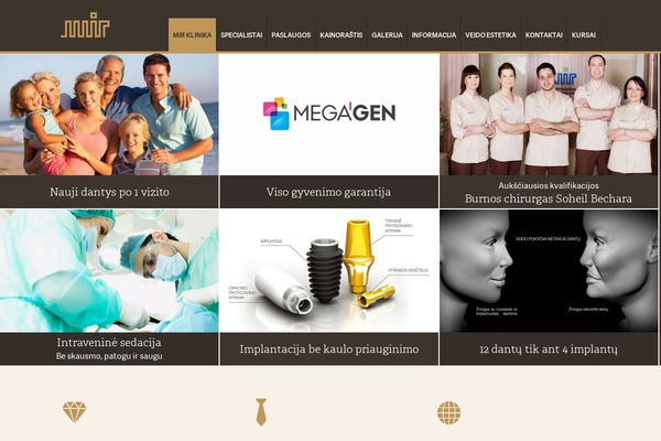 Mir theme site design template sample