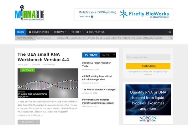 Site using WP-Lightform plugin