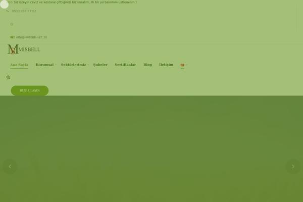 Site using Simple-youtube-responsive plugin
