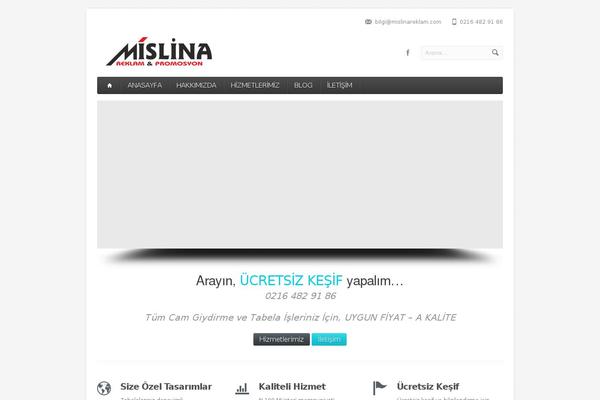 Aqua theme site design template sample