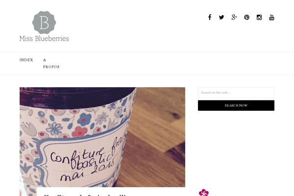 Fashify theme site design template sample