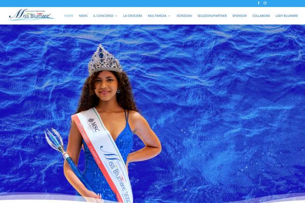 Site using WordPress File Upload plugin