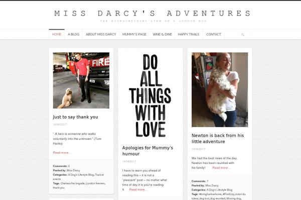 Hoarder theme site design template sample