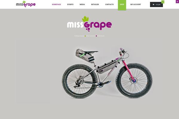 Site using Instagram-feed-pro plugin